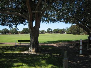 My Workout Park - Forrest Park