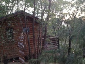 Tree top chalet